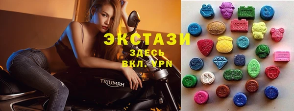 индика Заводоуковск