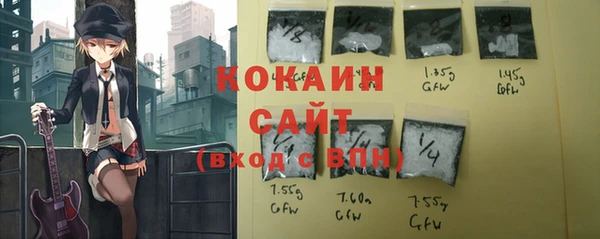 индика Заводоуковск