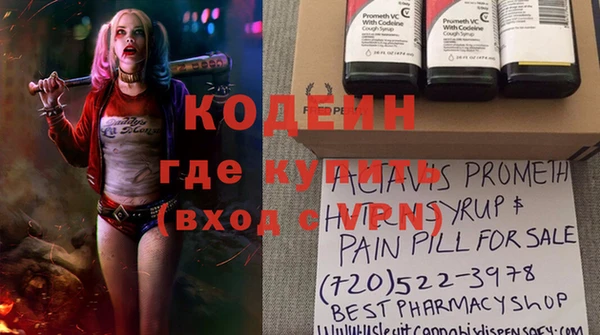 индика Заводоуковск