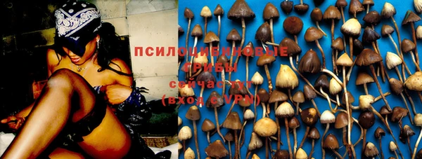 PSILOCYBIN Заволжье