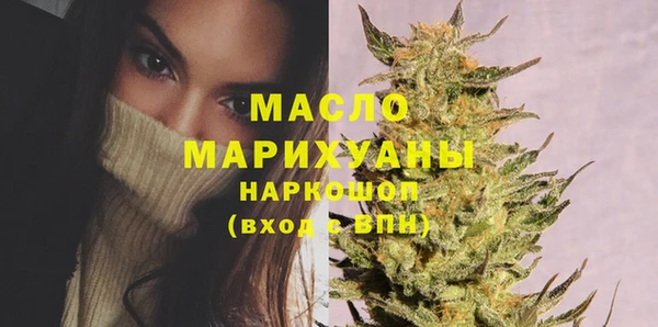 индика Заводоуковск