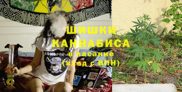 индика Заводоуковск