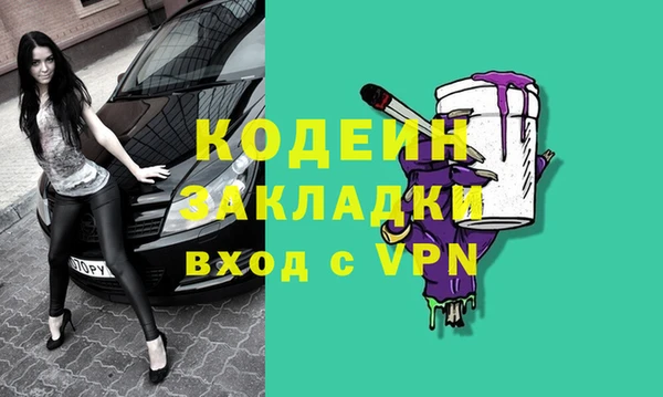 индика Заводоуковск