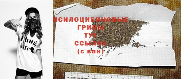PSILOCYBIN Заволжье