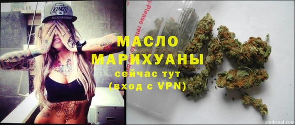 индика Заводоуковск