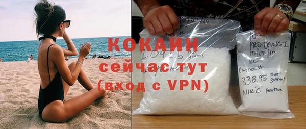 индика Заводоуковск