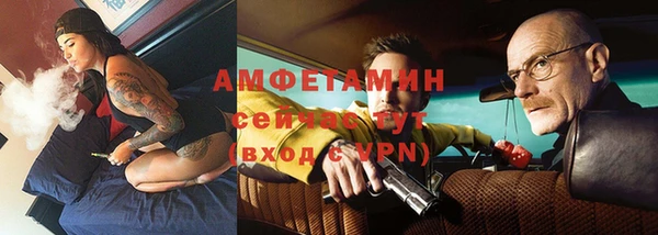 индика Заводоуковск