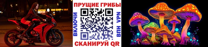 Купить  Сосновка  Галлюциногенные грибы Magic Shrooms 